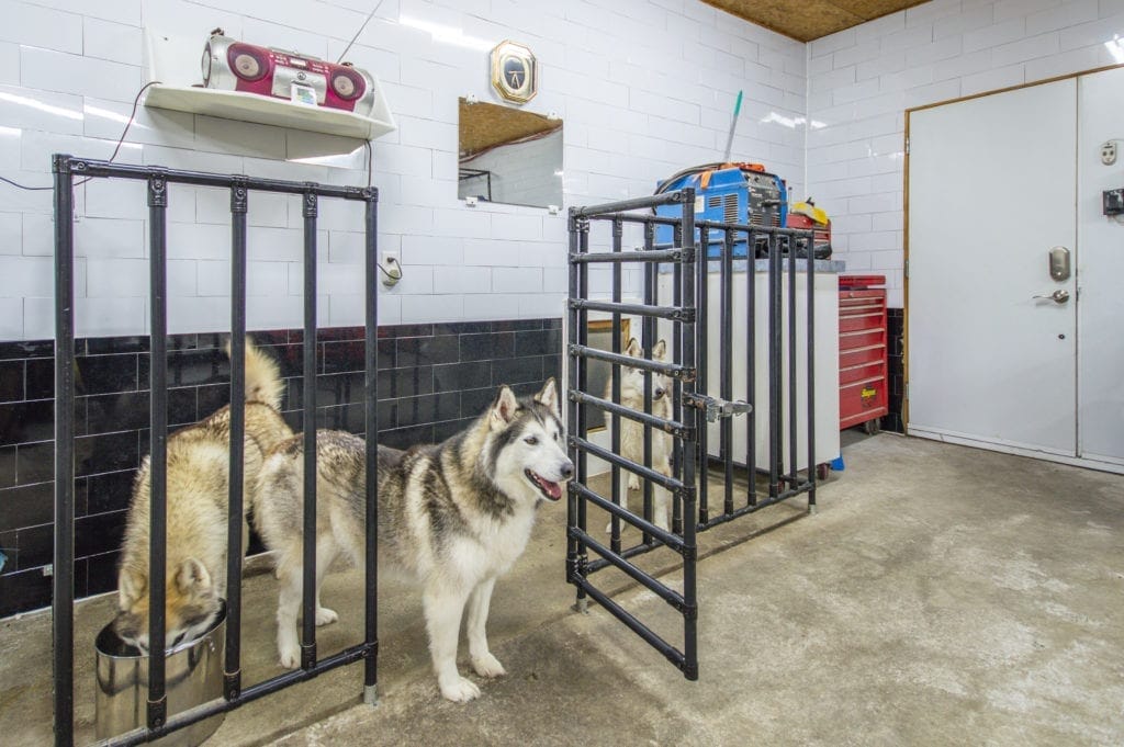 Dog enclosure