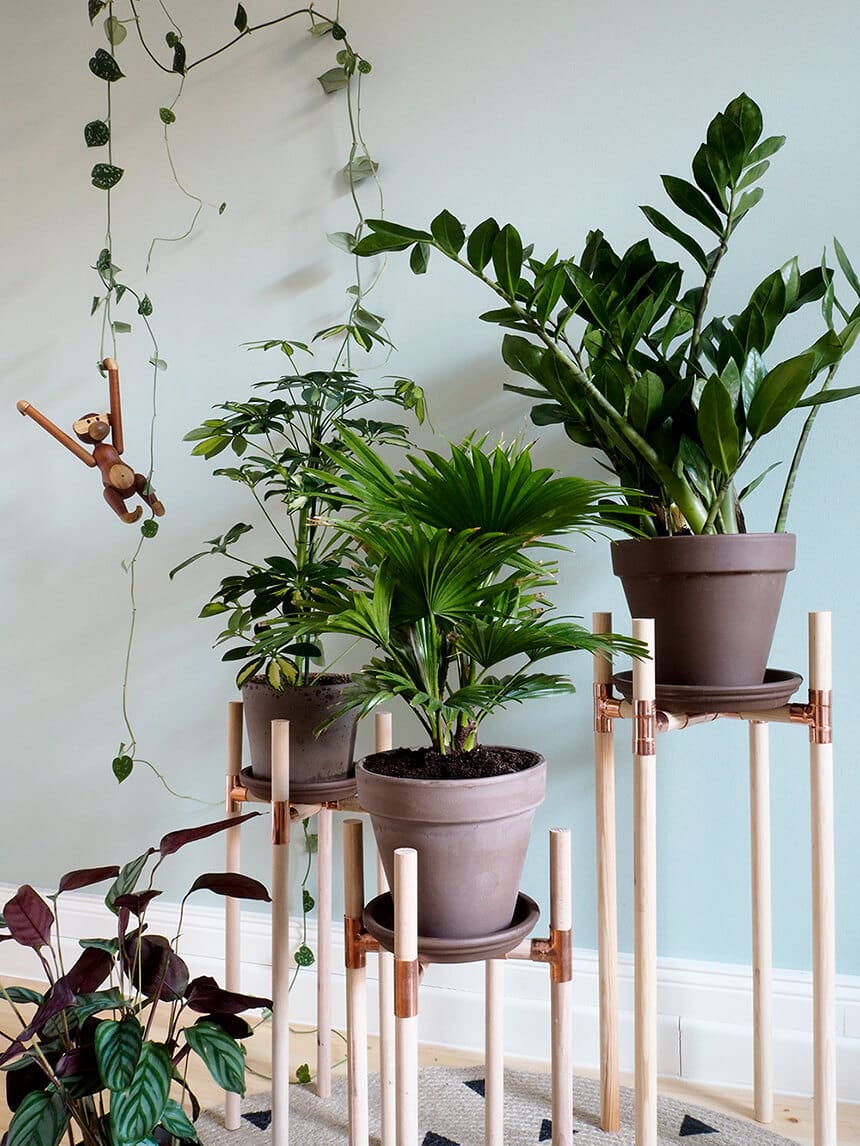 A plant stand