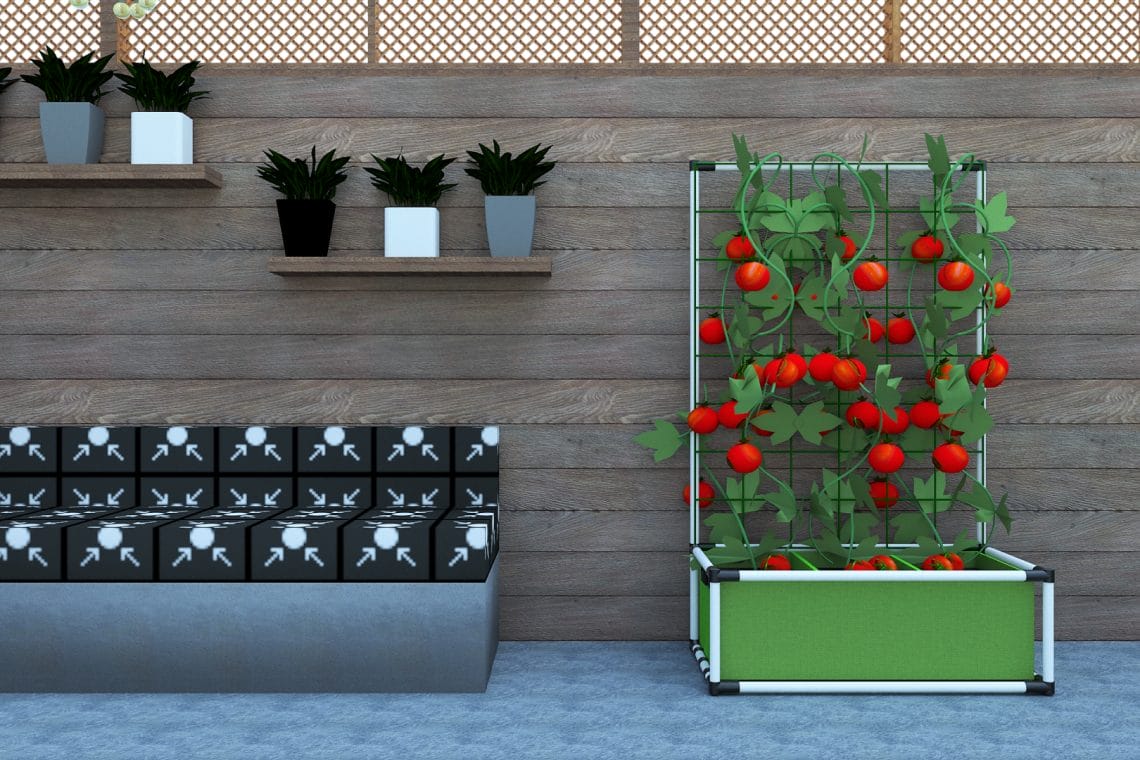 S'aménager un espace pour plantes grimpantes avec du fer à béton et treillis  soudé - passeur de plantes