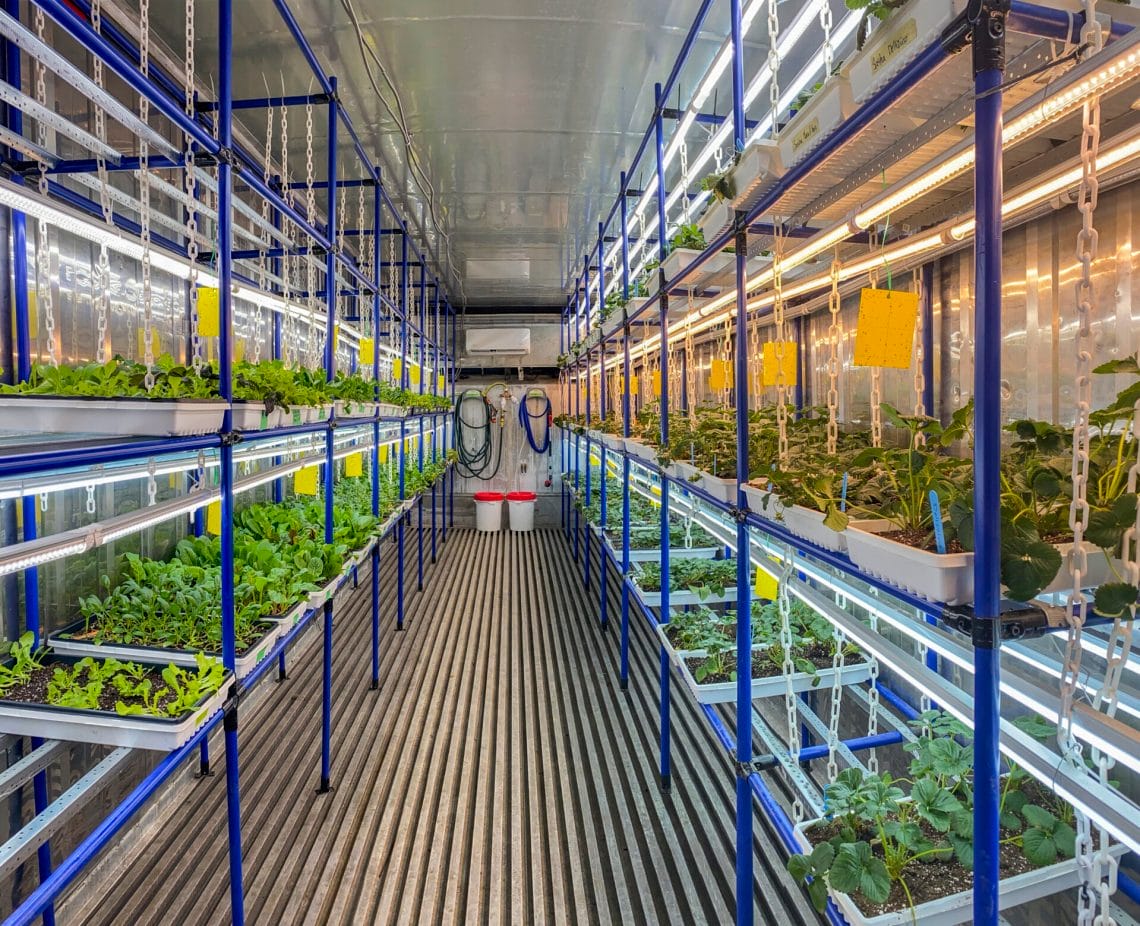 container farming