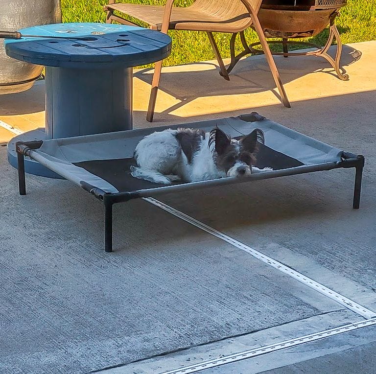lit pour chien DIY