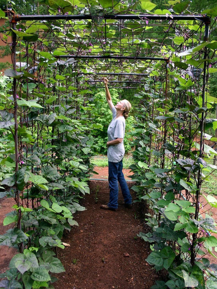 DIY long arch trellis