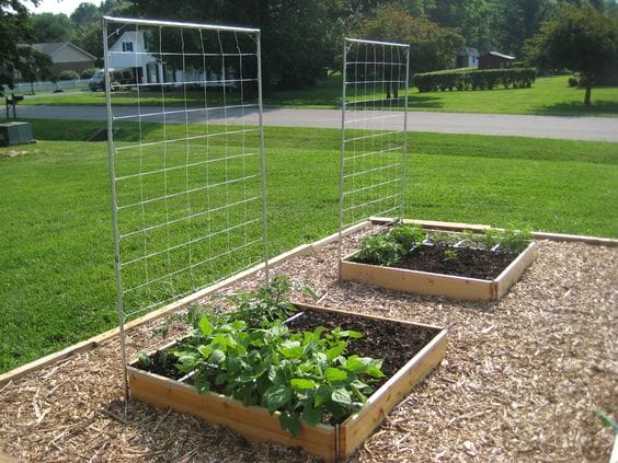 DIY garden trellis ideas