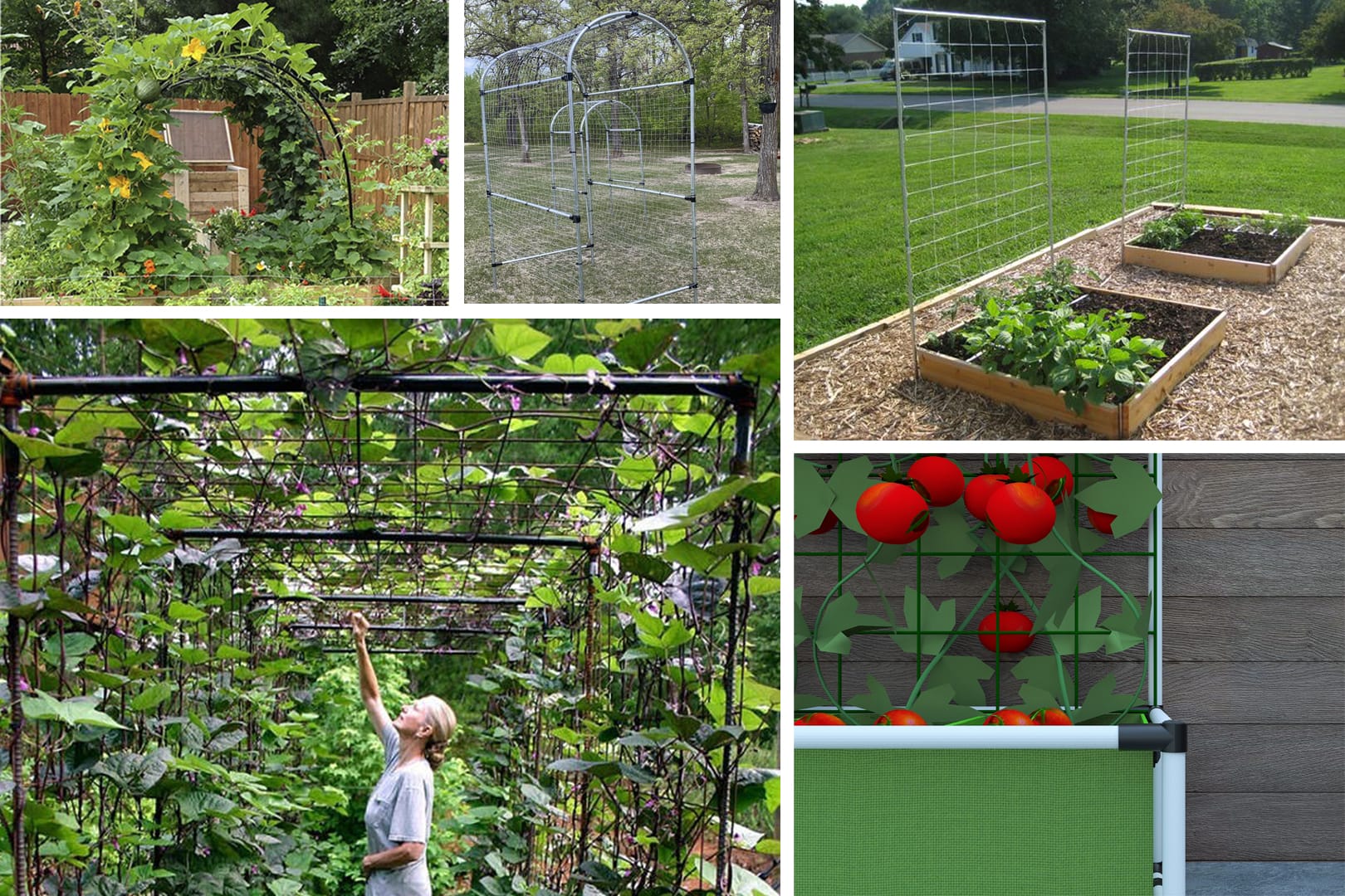 7 DIY Trellis Ideas for Your Backyard Garden - tinktube
