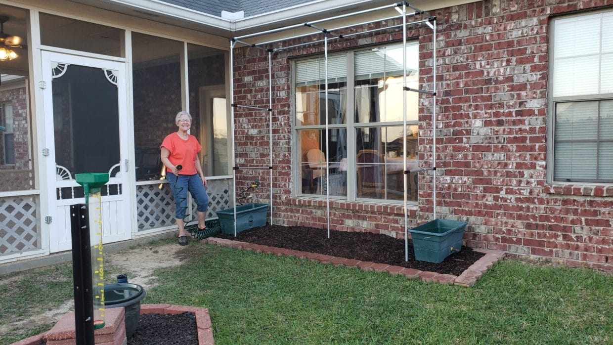 Ruth's DIY trellis