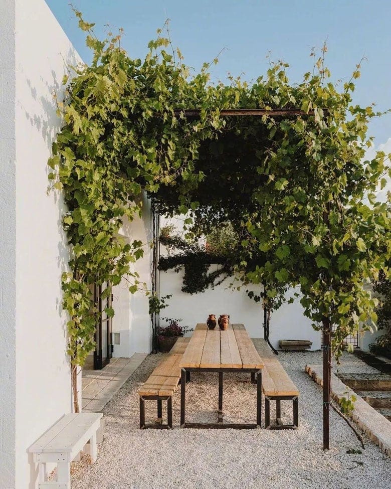 backyard-shade-structures