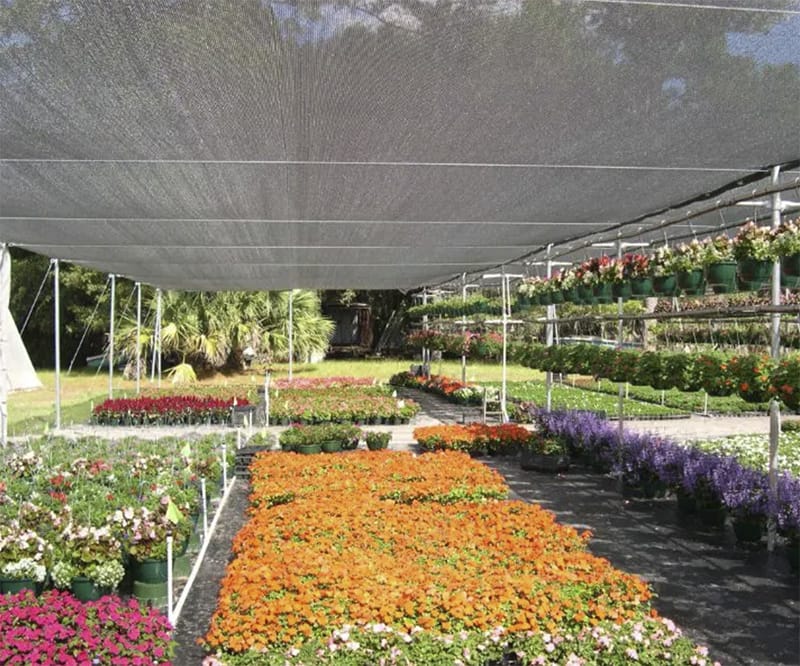 8 DIY Garden Shade Ideas to enhance your backyard space