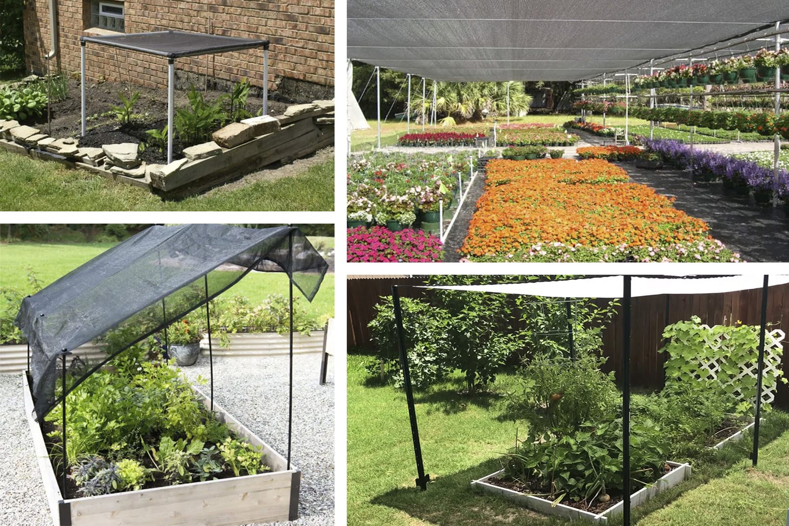 8 DIY Garden Shade Ideas to enhance your backyard space