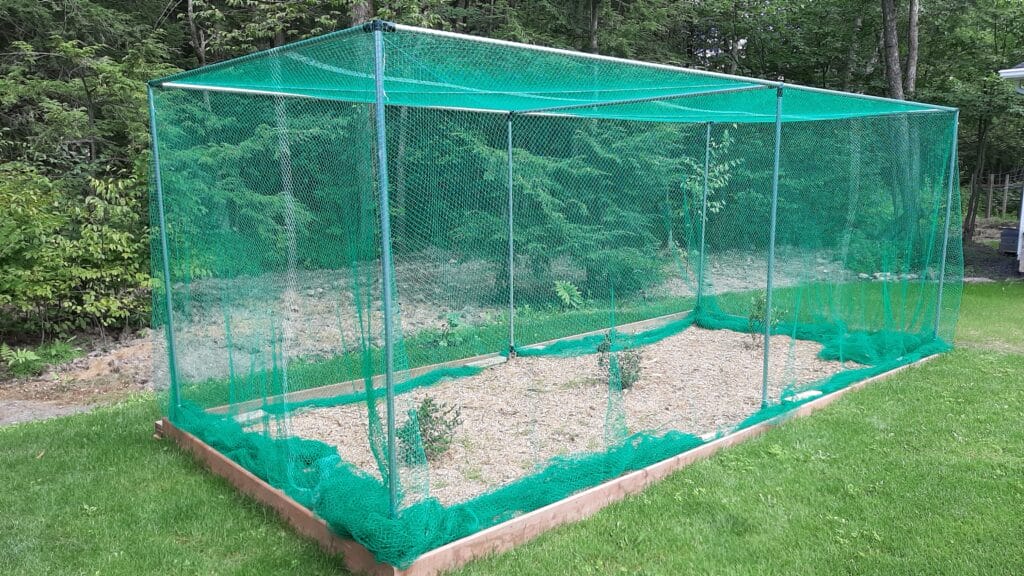 Anti-bird net for plant DIY