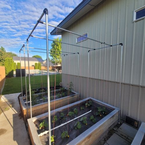 Treillis project idea
