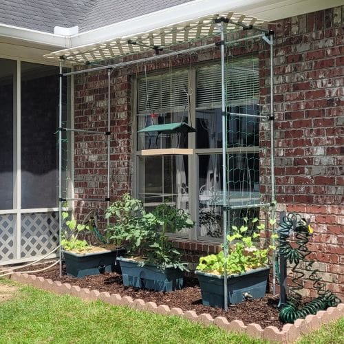 diy garden trellis backyard garden