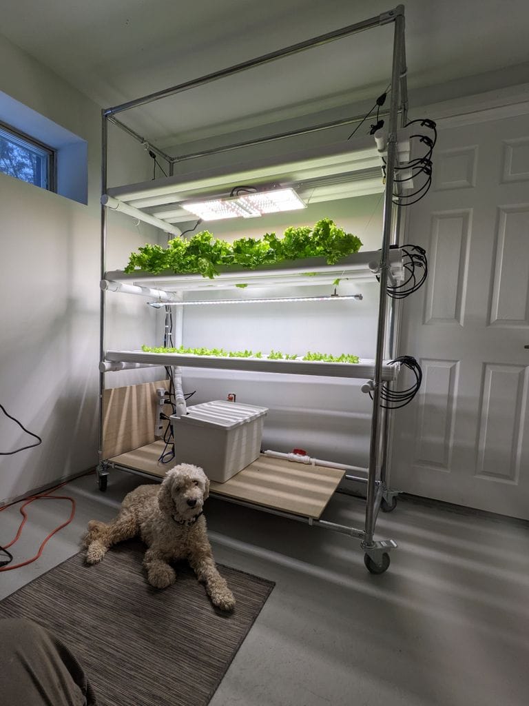 Rick's DIY hydroponic system