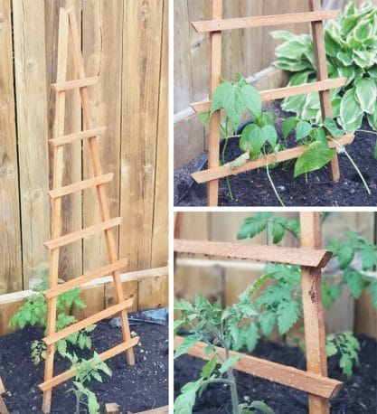 triangle-shaped cucumber wood trellis
