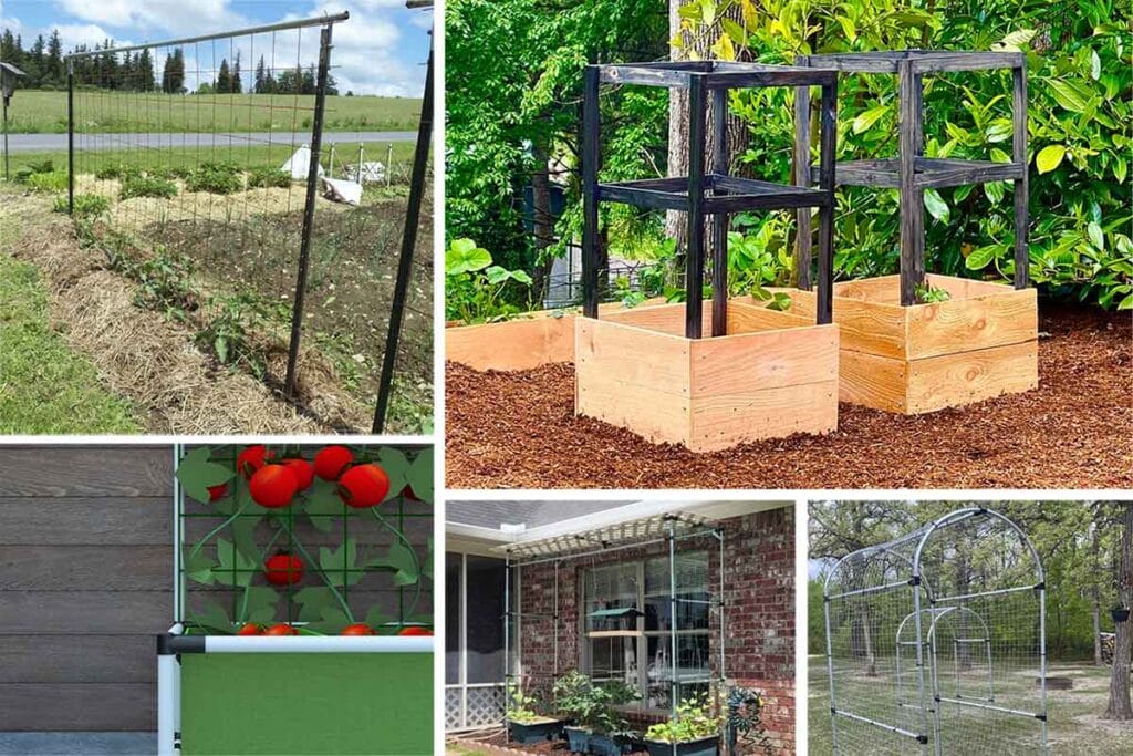 DIY trellis