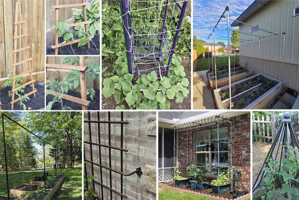 DIY cucumber trellis ideas