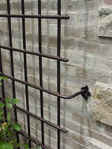 cucumber wall trellis with pipes