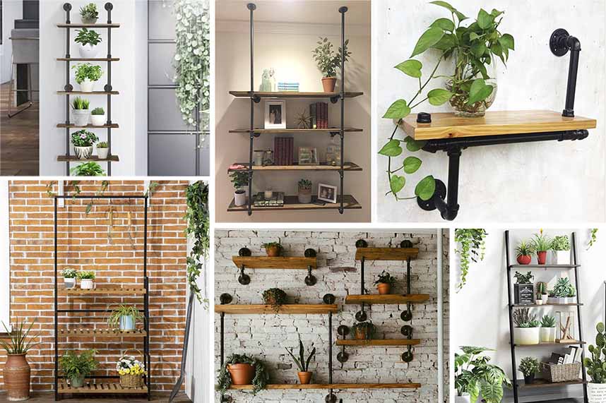 wall-mounted plant shelves