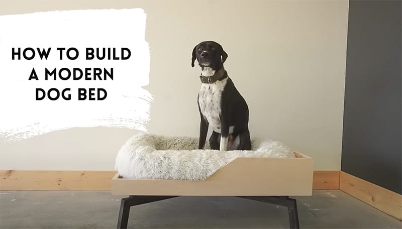 Great dane bed outlet ideas