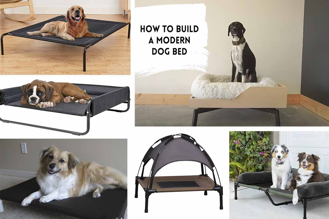 DIY elevated bed for dogs