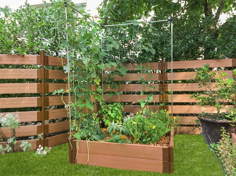 S'aménager un espace pour plantes grimpantes avec du fer à béton et  treillis soudé - passeur de plantes