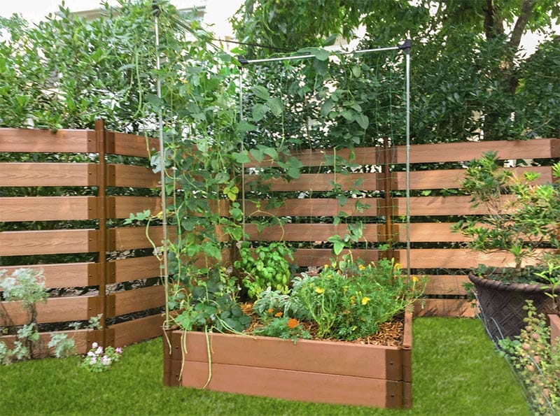raised garden bed with trellis