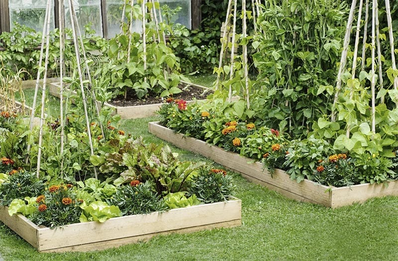 DIY trellis for raised garden bed