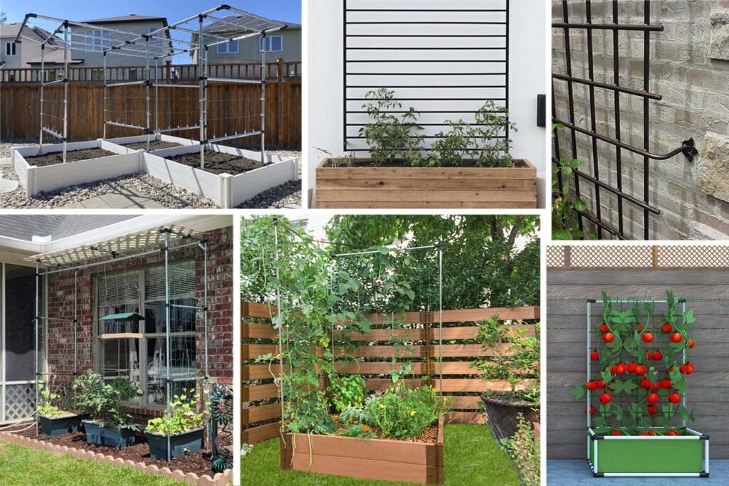 15 Trellis for Climbing Plants Ideas to Try at Home