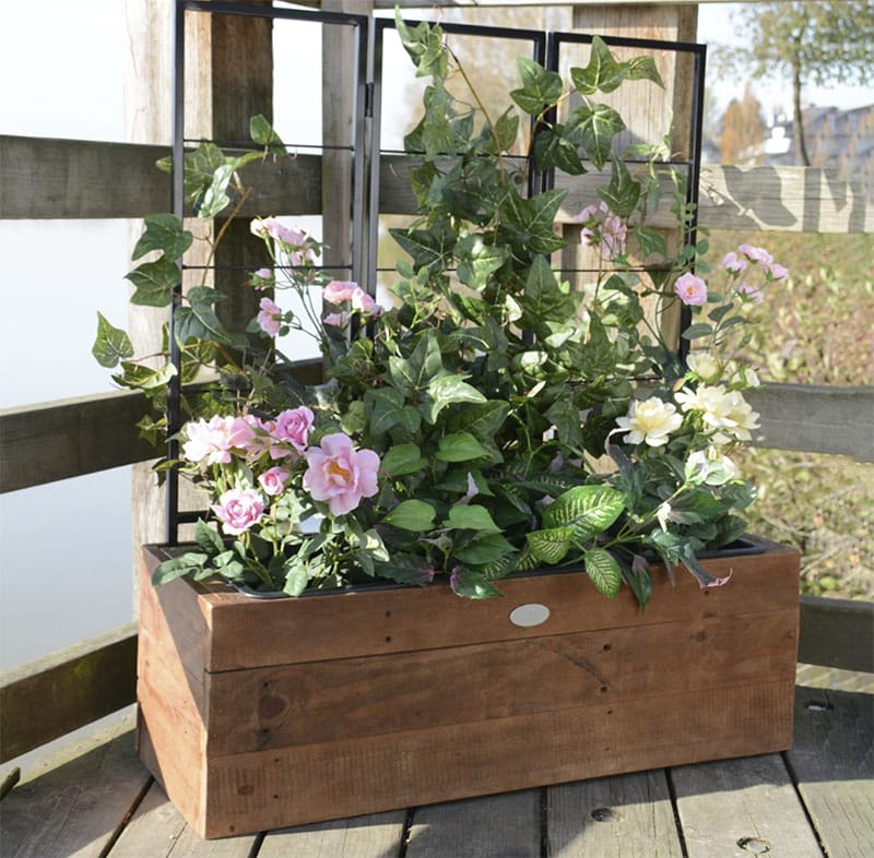 grapevine trellis for raised bed