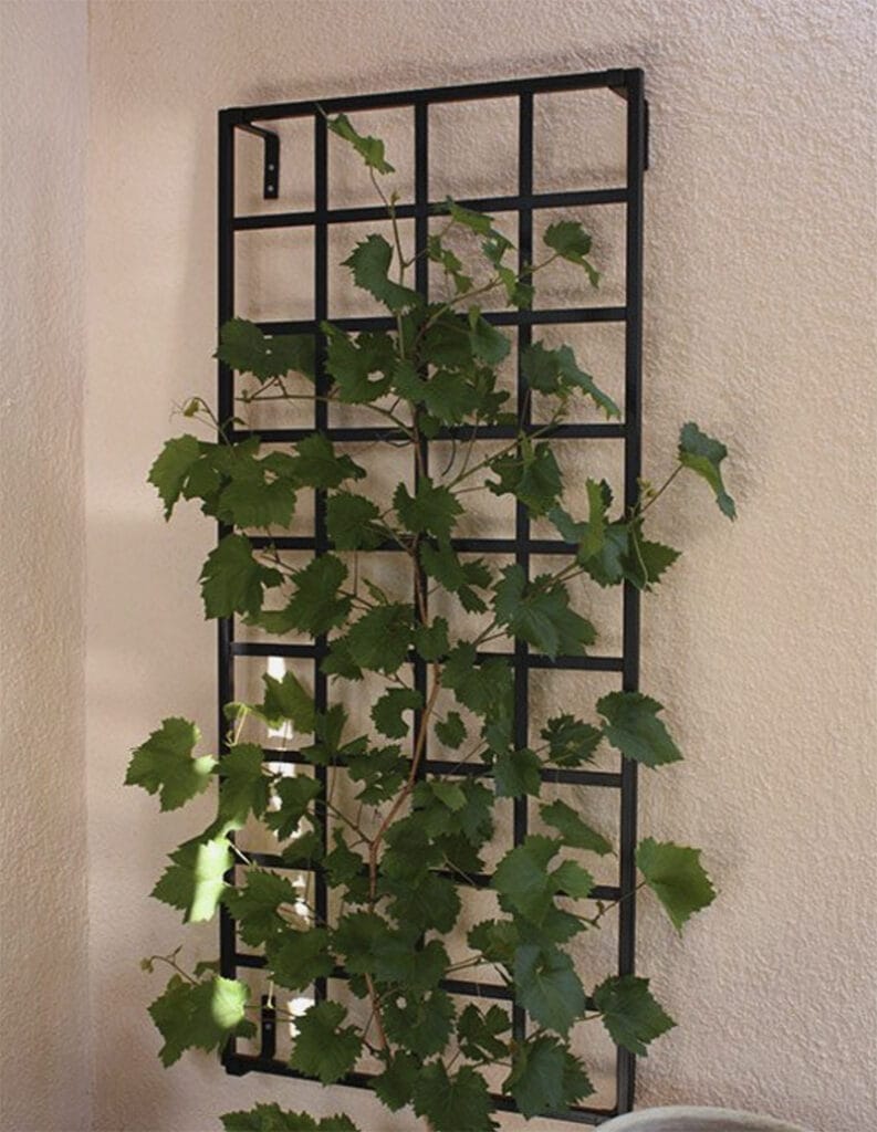 Des supports de plantes étonnants pour rehausser votre jardin d'intérieur 