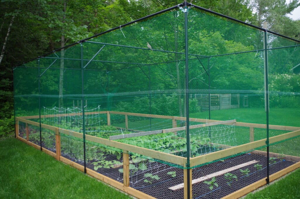 DIY garden cage