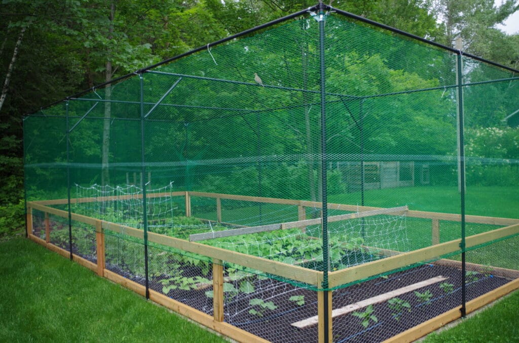 Garden cage