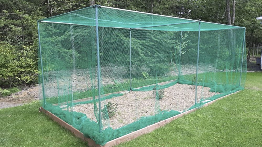 garden cages for vegetables