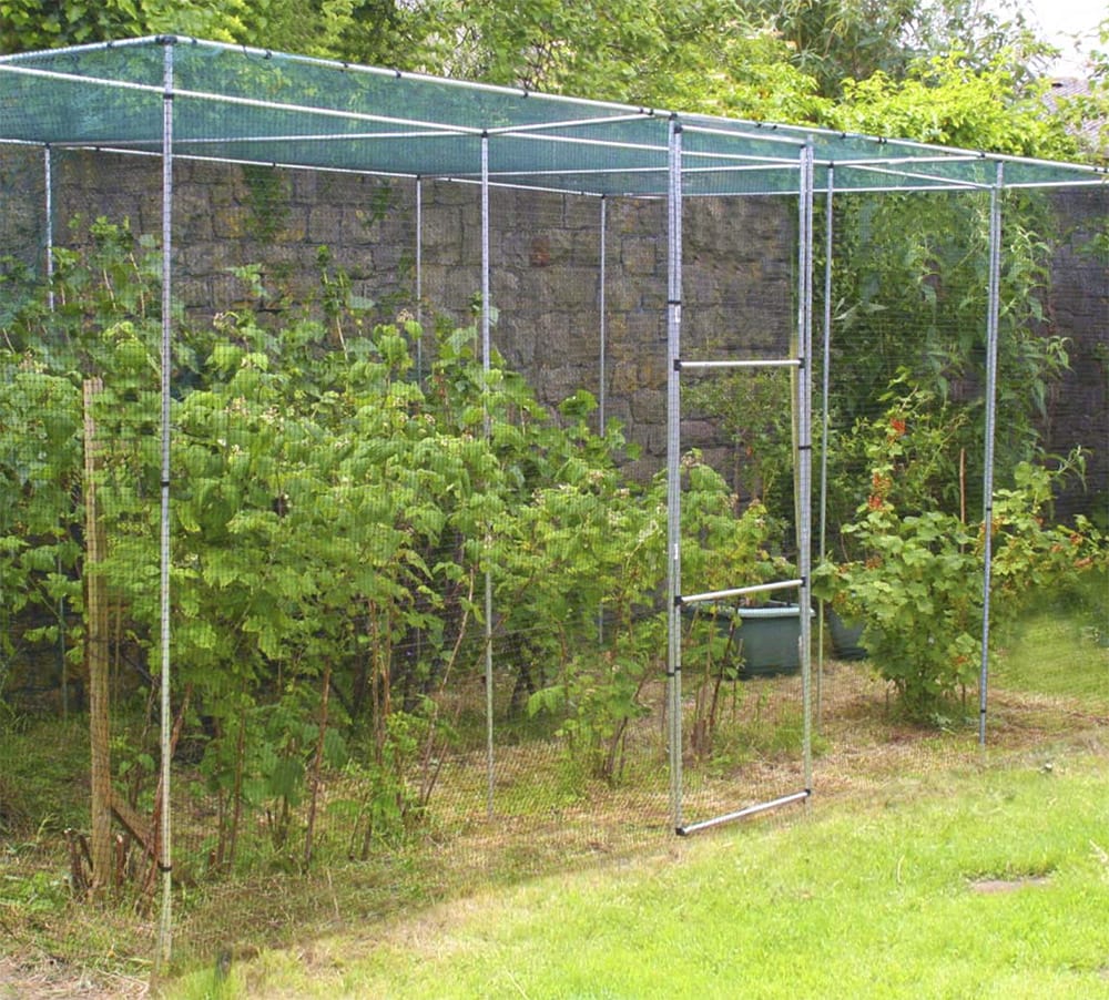 DIY Garden Cage: 15 Creative and Cost-Effective Ideas - tinktube