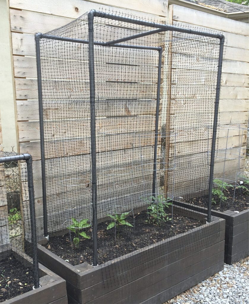 DIY garden cage idea
