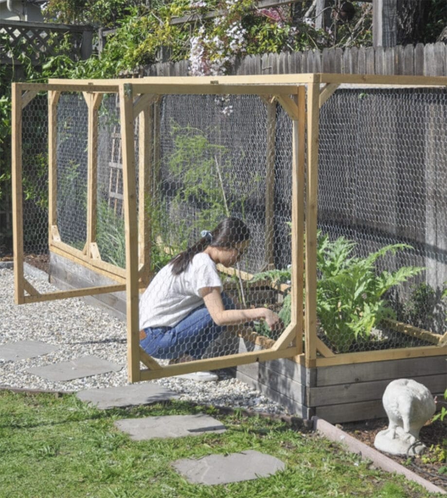 cage around raised garden bed