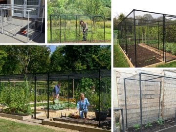 DIY garden cage ideas