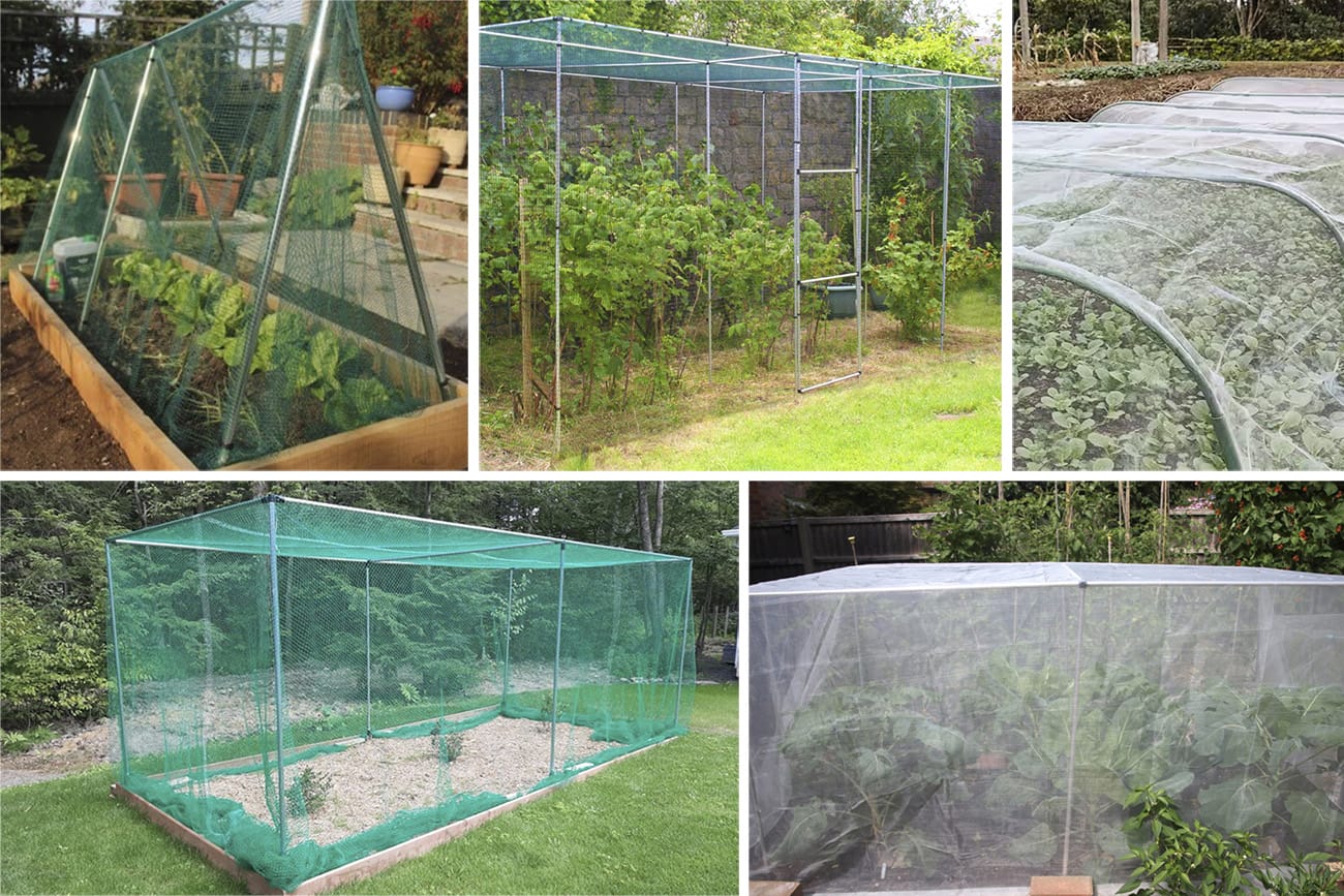 10 Diy Garden Netting Ideas To Nurture