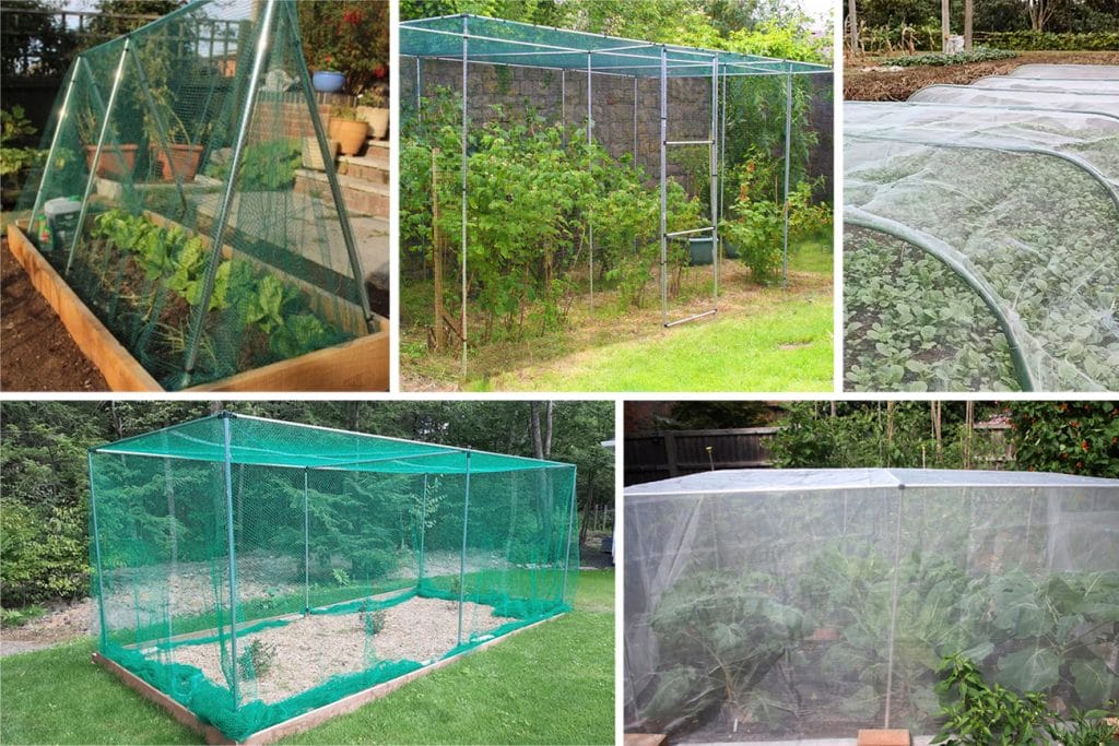 garden netting ideas