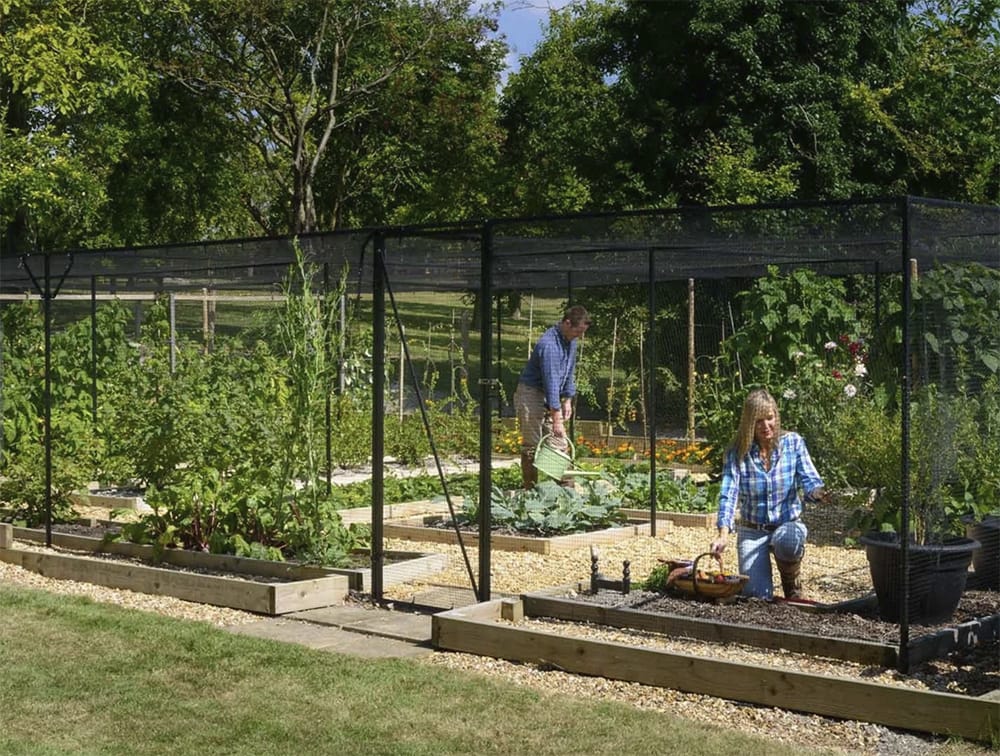 steel garden cage