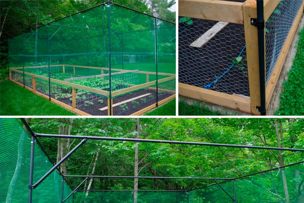garden cage free plan
