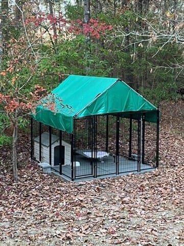 Dog pen with roof best sale