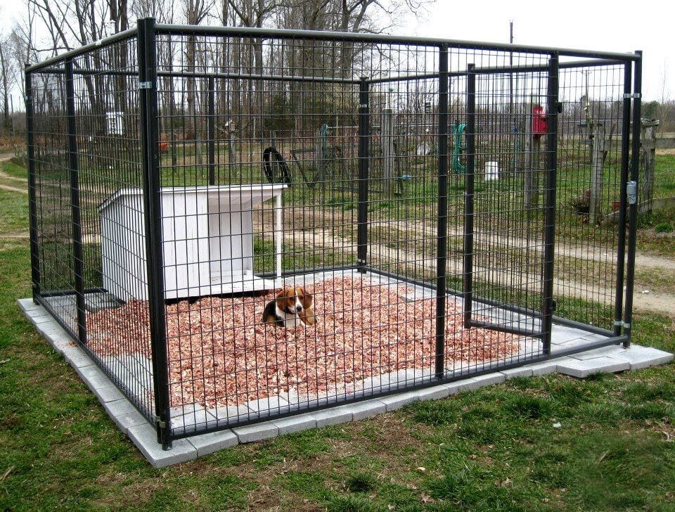 DIY outdoor dog kennel