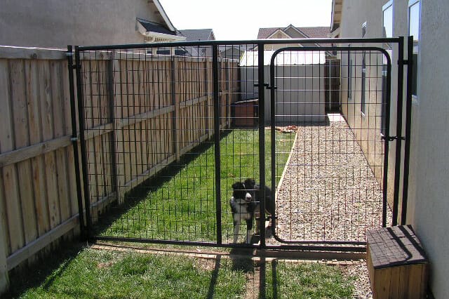 Diy outdoor kennel hotsell